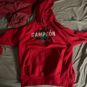 Champion hoodie